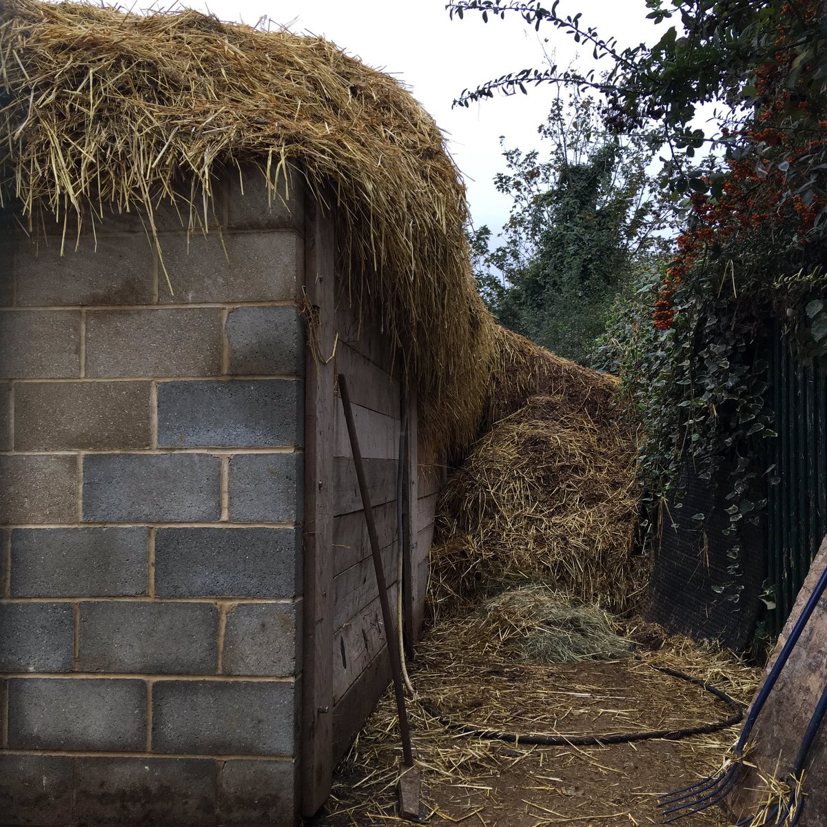 Surrey Docks Farm tweet media