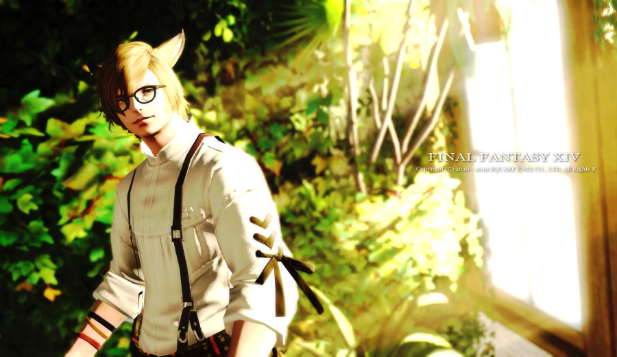 リク 犬 記憶力とssのみでキャラクリ再現チャレンジしたり 中身入れ替わりネタ を疑似体験したり 生き別れの兄妹が夢の競演をしたり 遊びの幅が広いff14 しばらく柴犬風イヌッテはペルシャ猫風メスッテでいくます ｗ