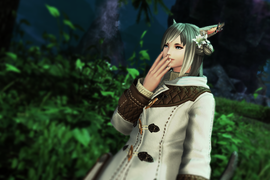 リク 犬 記憶力とssのみでキャラクリ再現チャレンジしたり 中身入れ替わりネタ を疑似体験したり 生き別れの兄妹が夢の競演をしたり 遊びの幅が広いff14 しばらく柴犬風イヌッテはペルシャ猫風メスッテでいくます ｗ