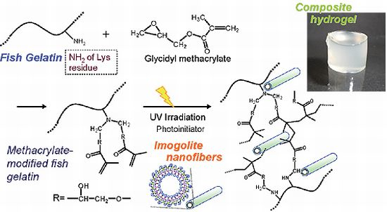 brain_2020's tweet photo. #Tissue_Science_Conference_2019
Composite hydrogel crosslinked nanofiber for long-term drug delivery.
For more details about #Biomaterials in #tissue_engineering, visit π https://t.co/A8GZTEXNHs
#stemcell #regenerative_medicine #Biomaterials @UUtah @Bruneluni @Yale @JHUBME @MIT https://t.co/Octczq2GyQ