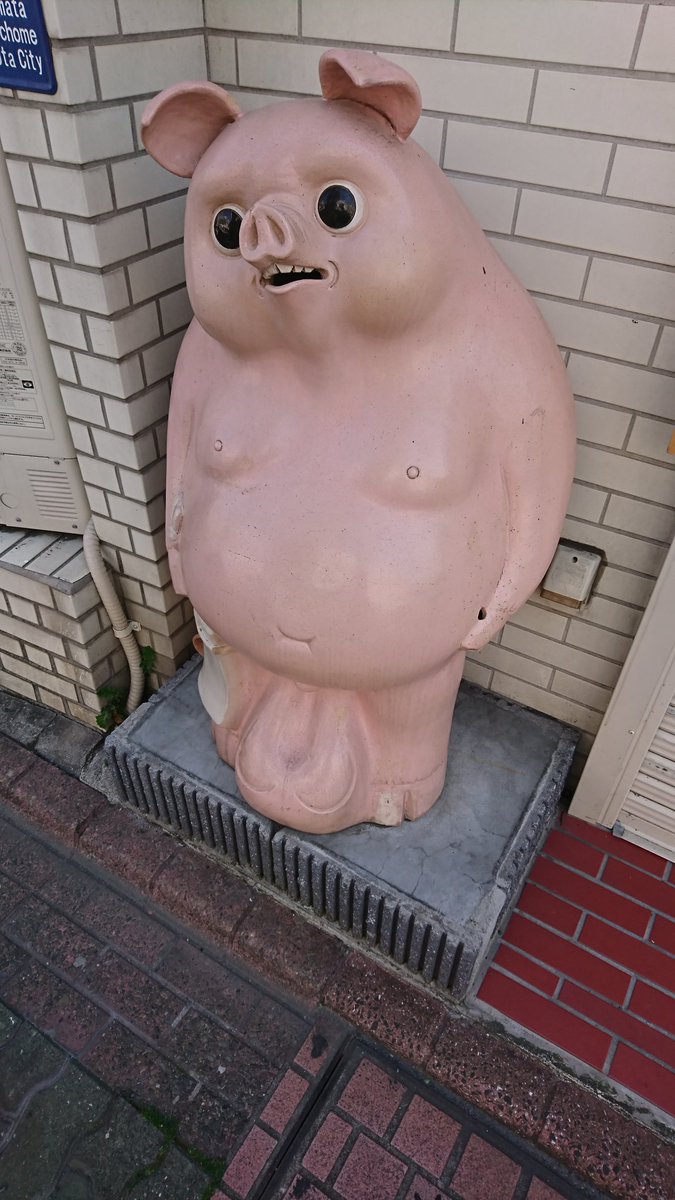 瞳の闇が深い 訴えてくるものがある とんかつ屋に置かれた 豚へと改造された狸 の表情がこちら Togetter 瞳の闇が深い 訴えてくるものがある とんかつ屋に置かれた 豚へと改造された狸 の表情がこちら Togetter