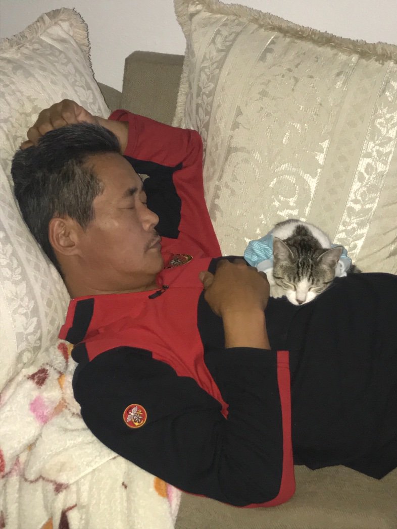 IReadBooks19's tweet photo. @jaz_riquelme1 Mi papá: no quiero otro animal en la casa, desháganse de él 
Also él... https://t.co/vEoB0LmYFM