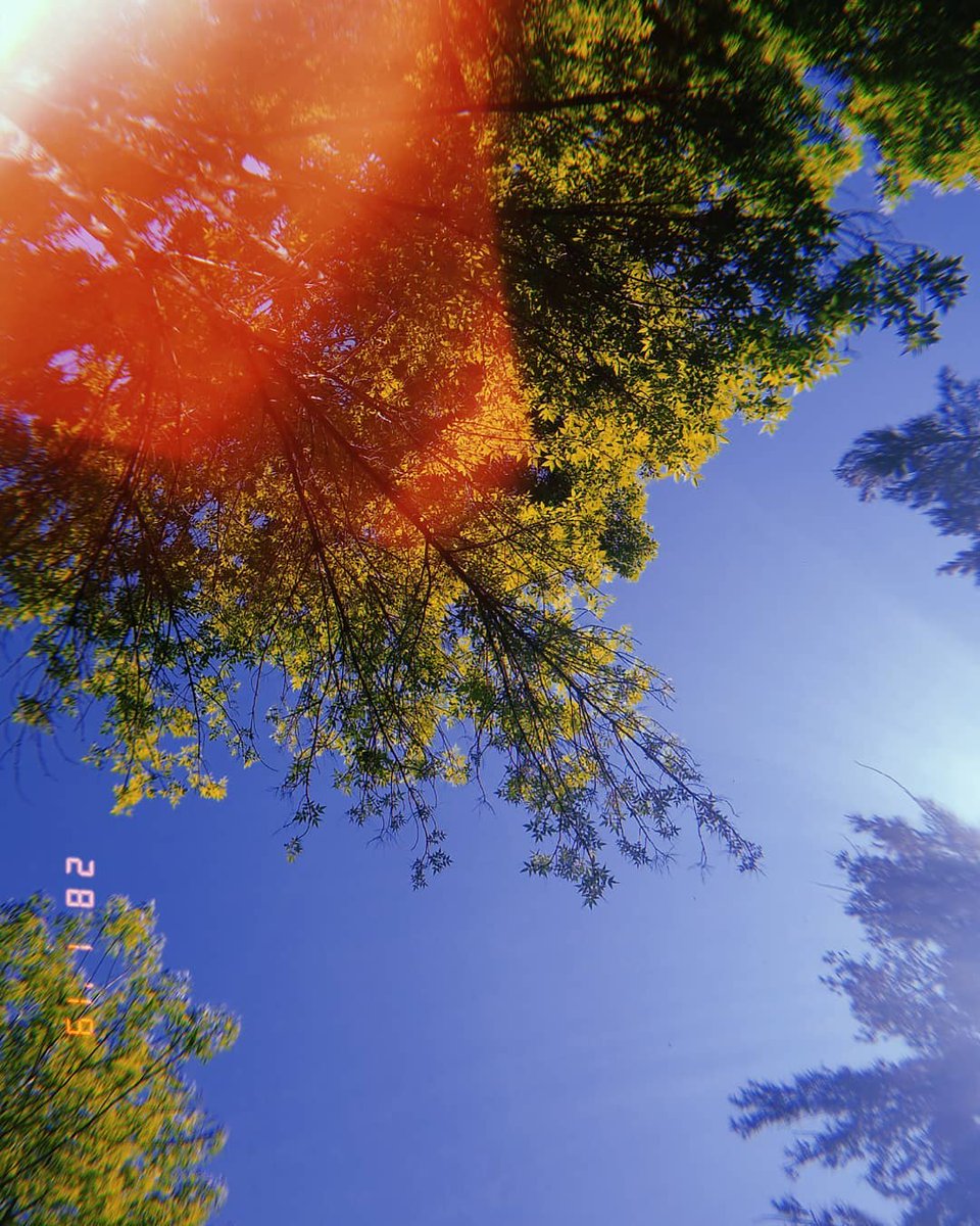 AdriRR2099's tweet photo. Un dΓa muy bonito en la facultad β¨
#photography #camera #huji #hujicam #hujiapp #zaragoza #fes #feszaragoza #tree #blue #green #Nature #sky #unam #january #sun https://t.co/bntcqp88zy