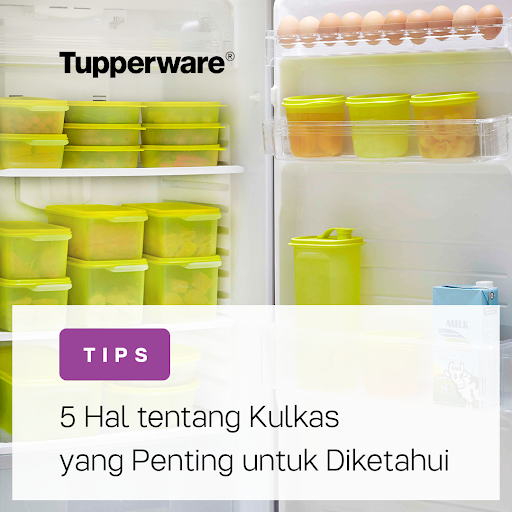 tupperwareID's tweet photo. Untuk mengetahui lemari pendingin seperti apa yang benar-benar cocok untuk keluarga? Lihat tipsnya di sini yuk https://t.co/3bkYZgEFbe.
#StayFreshWithTupperware #FreshLimeCollection #PakeTupperware #TupperwareFreshSolution https://t.co/aOs9xWmWMS