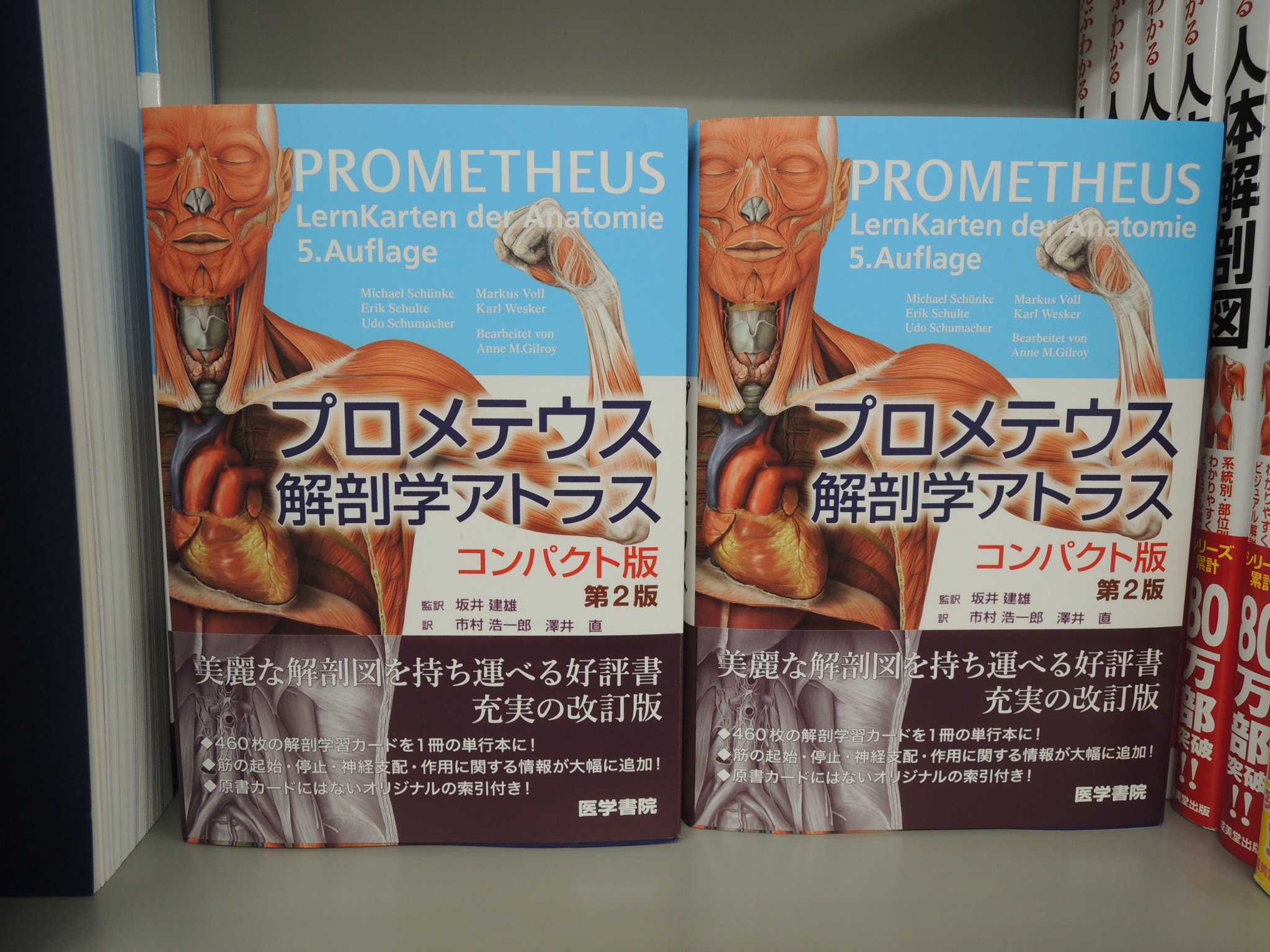 プロメテウス 解剖学アトラス 第2版 プロメテウス解剖学アトラス 口腔・頭頸部 第2版 | 書籍詳細