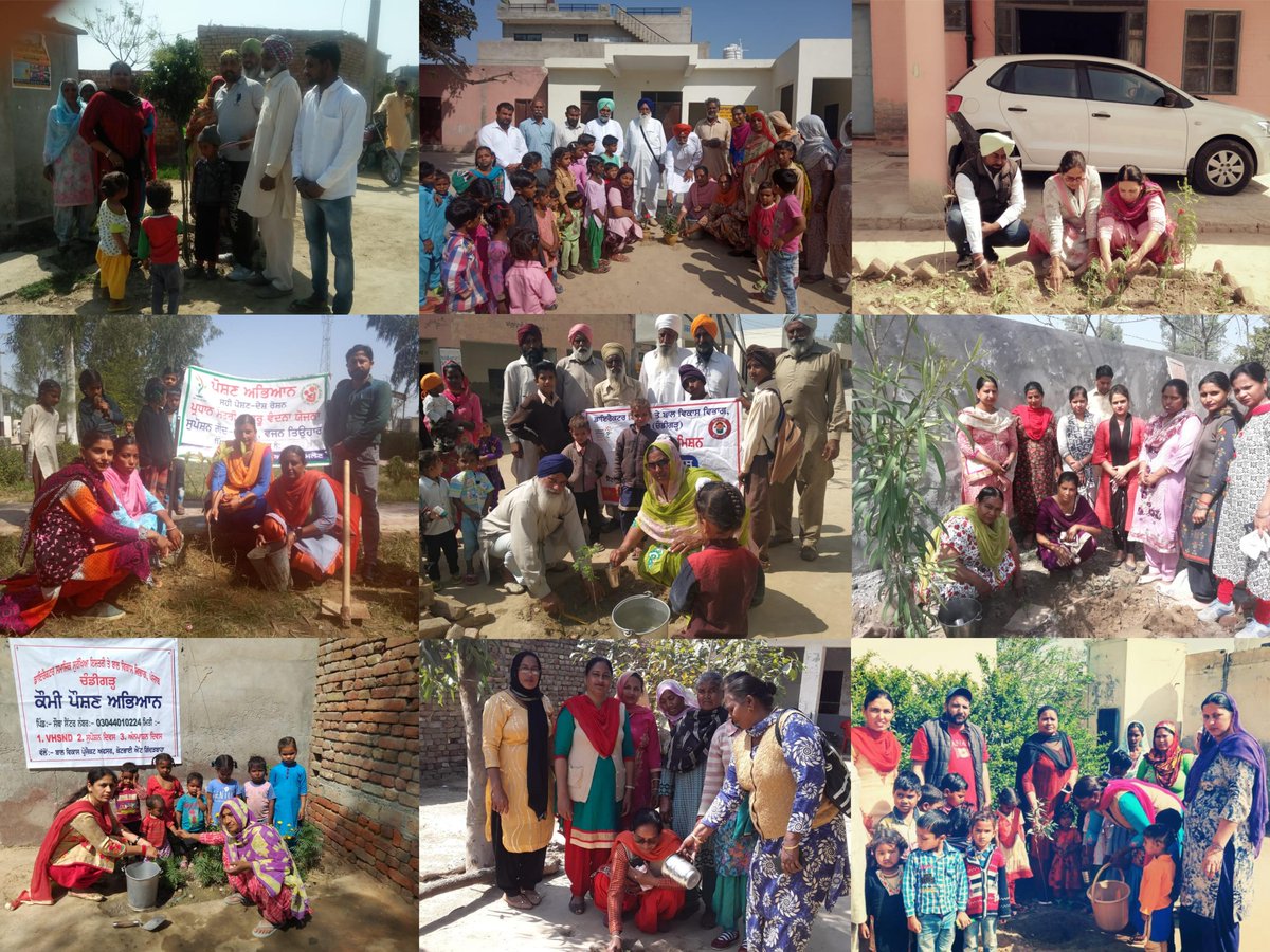 SriPoshan's tweet photo. March 19, Nutritional Gardening by communities in common spaces near Anganwadi Centers in Sri Muktsar Sahib. #PoshanPakhwada @MinistryWCD @SPreraks @DproMuktsar https://t.co/KLGlqGfJkf