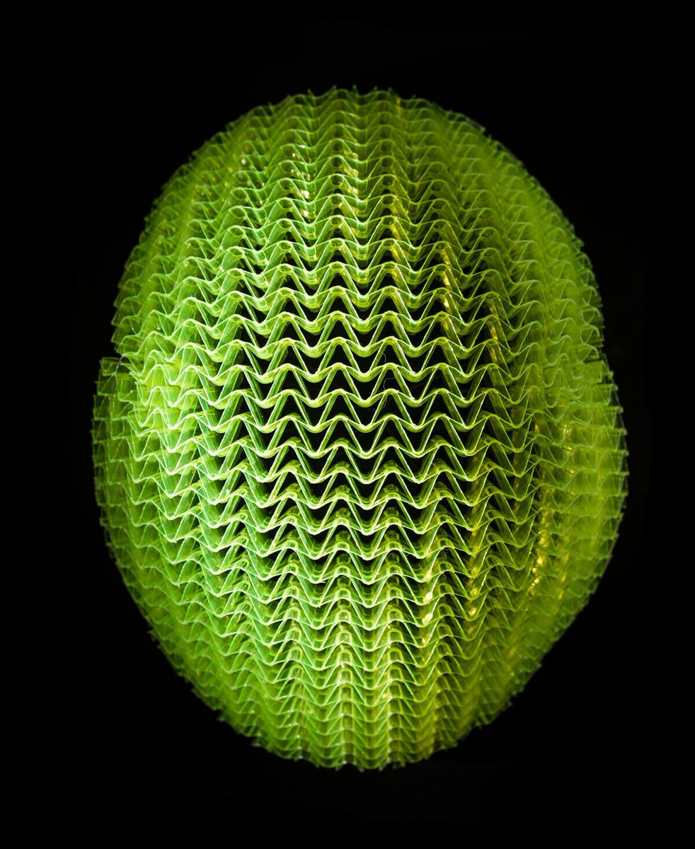 labicicletanet's tweet image. #WAVECELL  x  @Bontrager 
 💚💚💚   bit.ly/2Tg8fYh
#CASCOS #BONTRAGER #CICLISMO