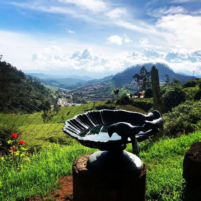 goheritagerun's tweet photo. #wildlifewednesday Besides it's natural
scenic allure, #Ooty the home of our upcoming
#runcations offers a chance for you to watch #birds
and bisons right from the opening of your tents at
our campsite accommodations!
https://t.co/ijYX8O4BQz #indiarunning #runnersofindia #run https://t.co/JsmYPQ9SbU