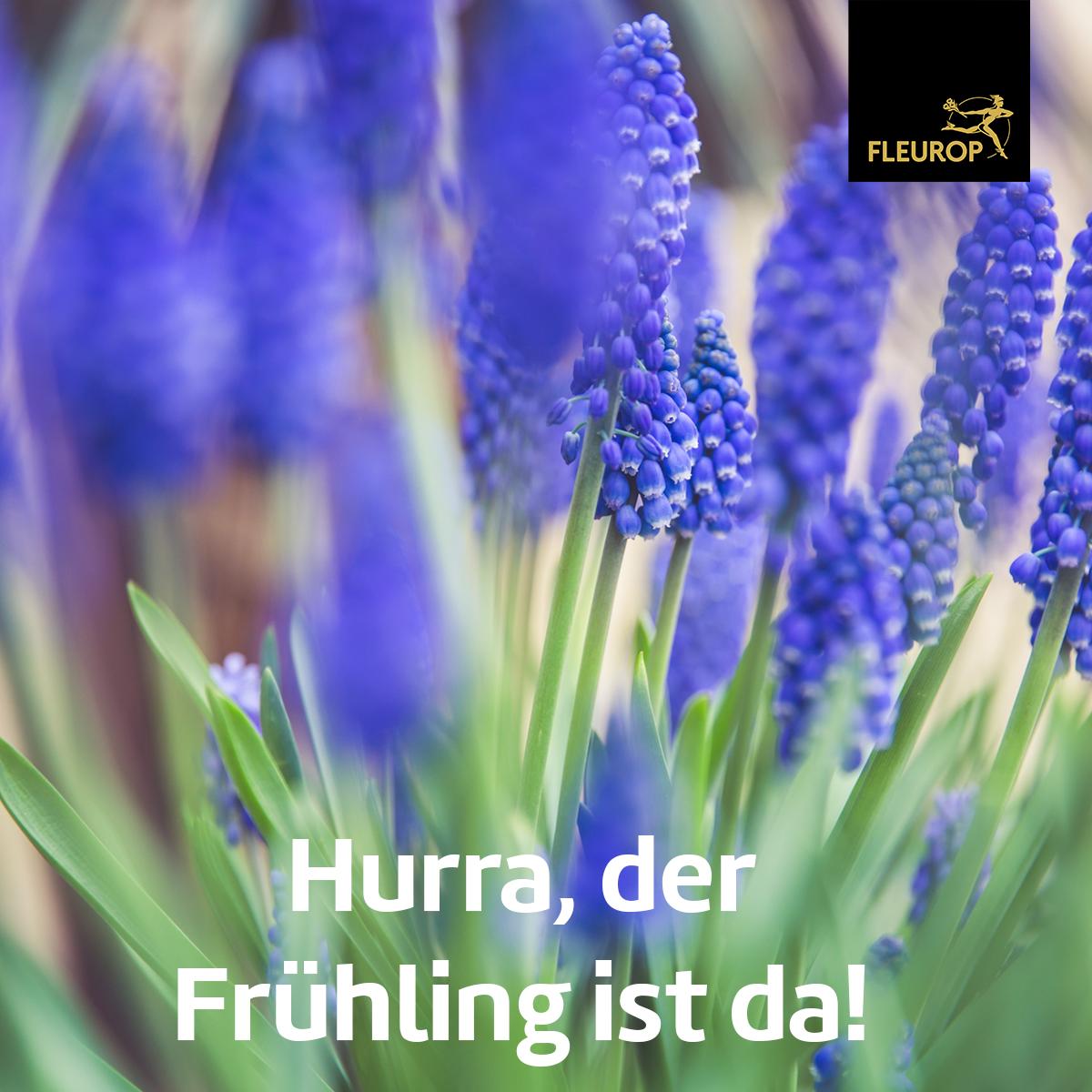 Heute ist Frühlingsanfaaaang 😁😍 Freut ihr euch?