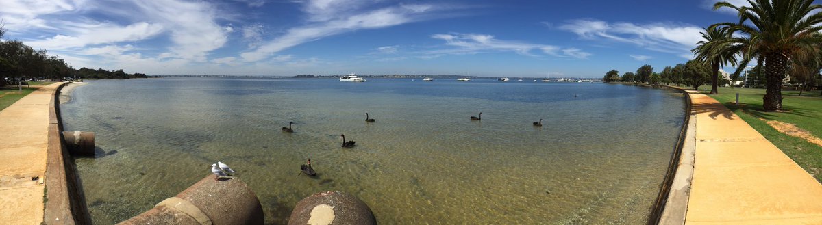 Rexemagne's tweet photo. Today’s Ride #RexTrex
Perth foreshore along Riverside drive - Crawley Boat shed - Matilda Bay - Old Swan Brewery 🛴💨
#Perth #PerthForeshore #CrawleyBoatShed #MatildaBay #Crawley #SwanRiver #eScooter #Segway #Ninebot #scooter #SwanBrewery #TheOldBrewery https://t.co/pebMfceqMV