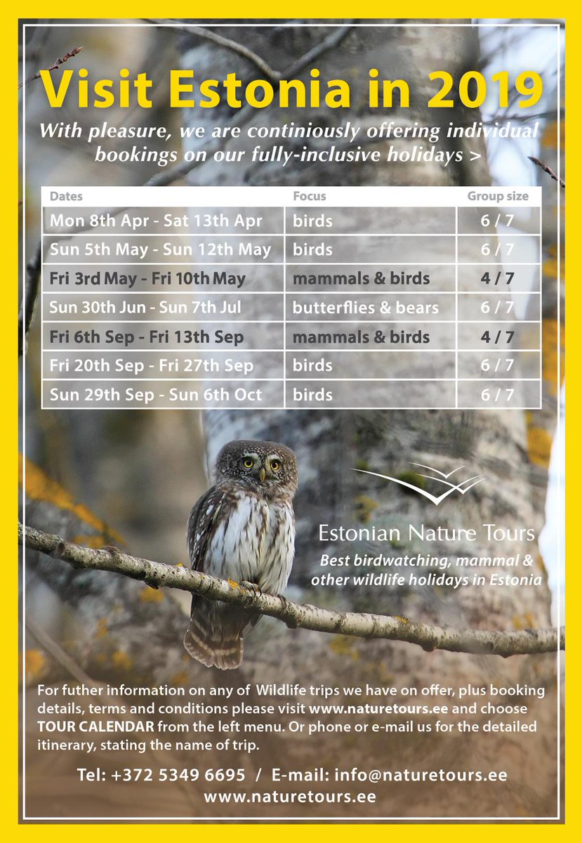 Why travel with us? bit.ly/2JzePJM
#birdinginestonia #pygmyowl #owls #birds #birding #mammals #brownbears #Beavers #moose