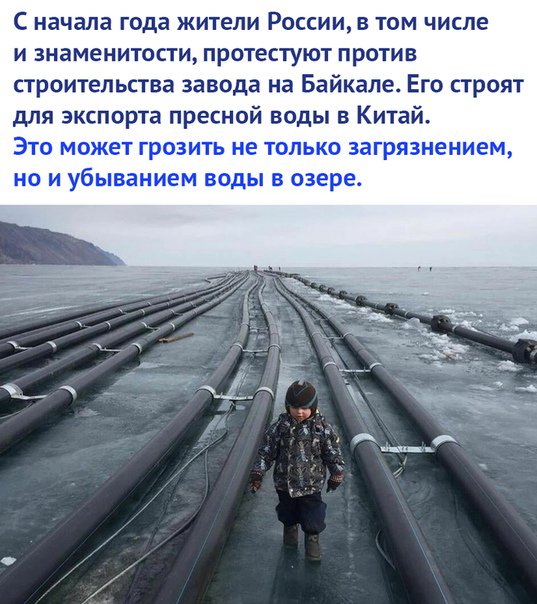 Интересные факты (@neznali) on Twitter photo 