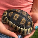Photo by Natures Valley Trust (@NVTrust)