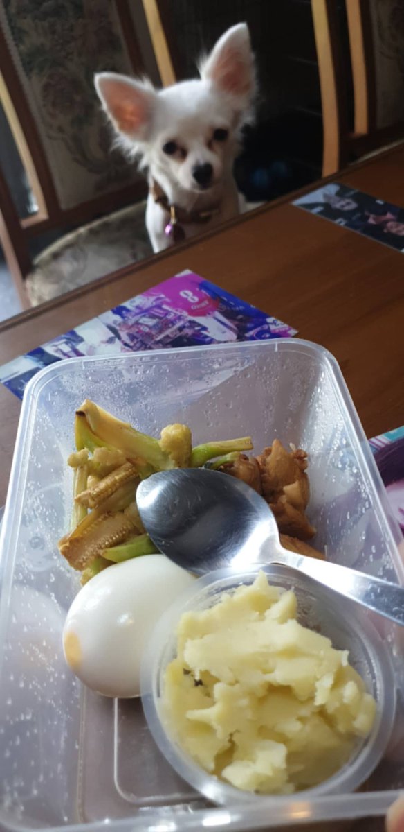 เหมือนมีพลังงานบางอย่างมากดดัน
Cr. #aaugust007
#ออกัสวชิรวิชญ์ #ทีมออกัส