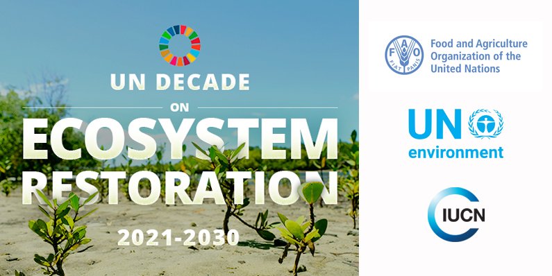 IUCN's tweet photo. The @UN just declared 2021-2030 the Decade of Ecosystem Restoration. See how you can build on the momentum:
https://t.co/Ta2DFKSIET @IUCN_forests @IUCN_Ecosystem https://t.co/738Rb8CNSB
