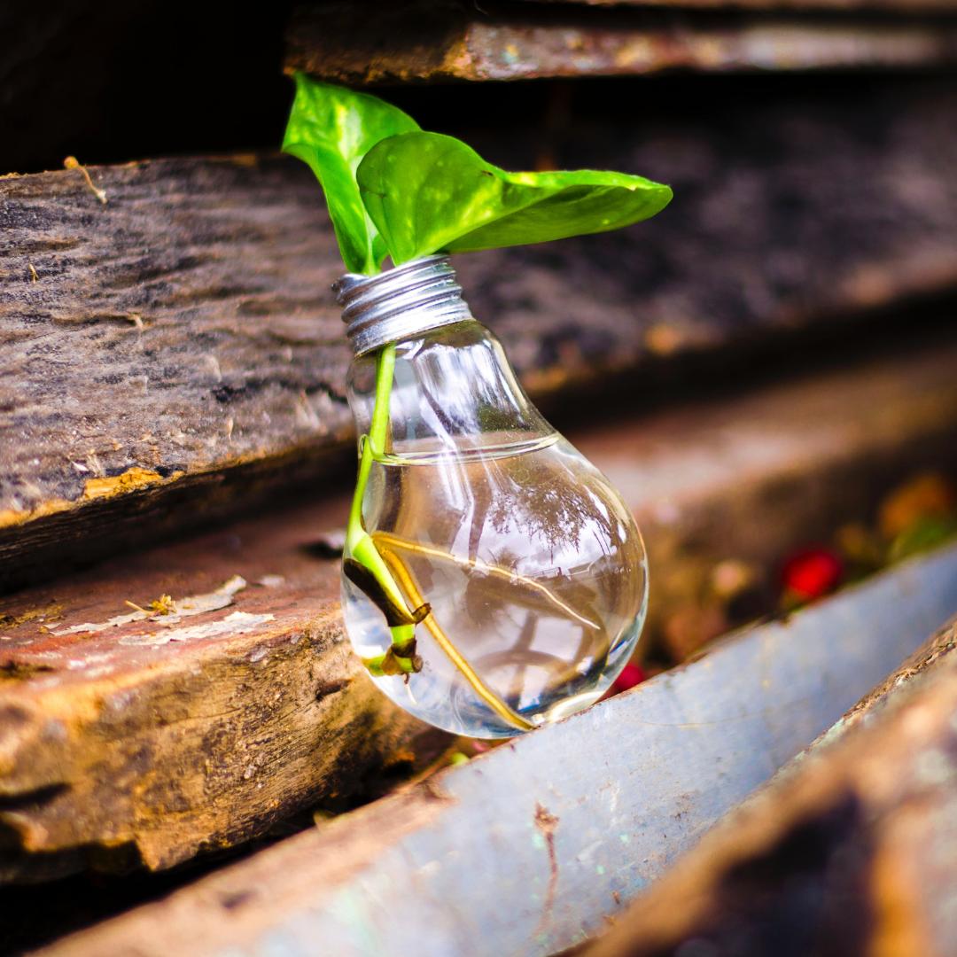 FocalCodeTech's tweet photo. “Failure is simply the opportunity to begin again, this time more intelligently.” - Henry Ford
.
.
.
#motivation #encouragement #courage #Business #Hardwork#Goal #Startuplife #entrepreneur#success #hustle #money #focalcode https://t.co/AuRuoUI8wC