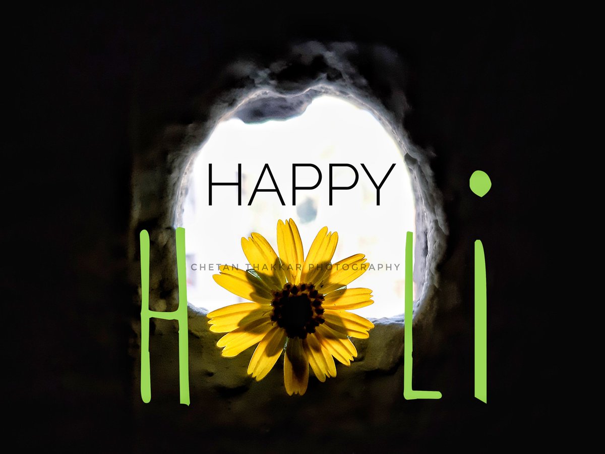 Happy H🌻li Friend's❤#3snappingidiots #Holi #HappyHoli2019 #colourfulholi #pichkari #coloursoflove❤️ #photoshoot #photography #mainbhisadakchap #haramkhor #kandalelo #holiwithgppro #holiwithtecno #turecolouroflove🖤 #turecolourofindia #indialove