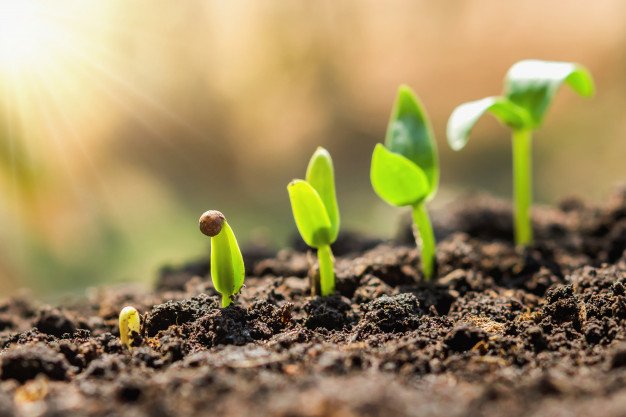 LiteameF's tweet photo. 🌳¡Demos la bienvenida a la #primavera con los mejores #descuentos de la zona! https://t.co/g46bohrtG9 https://t.co/PQzBTQ8BIJ