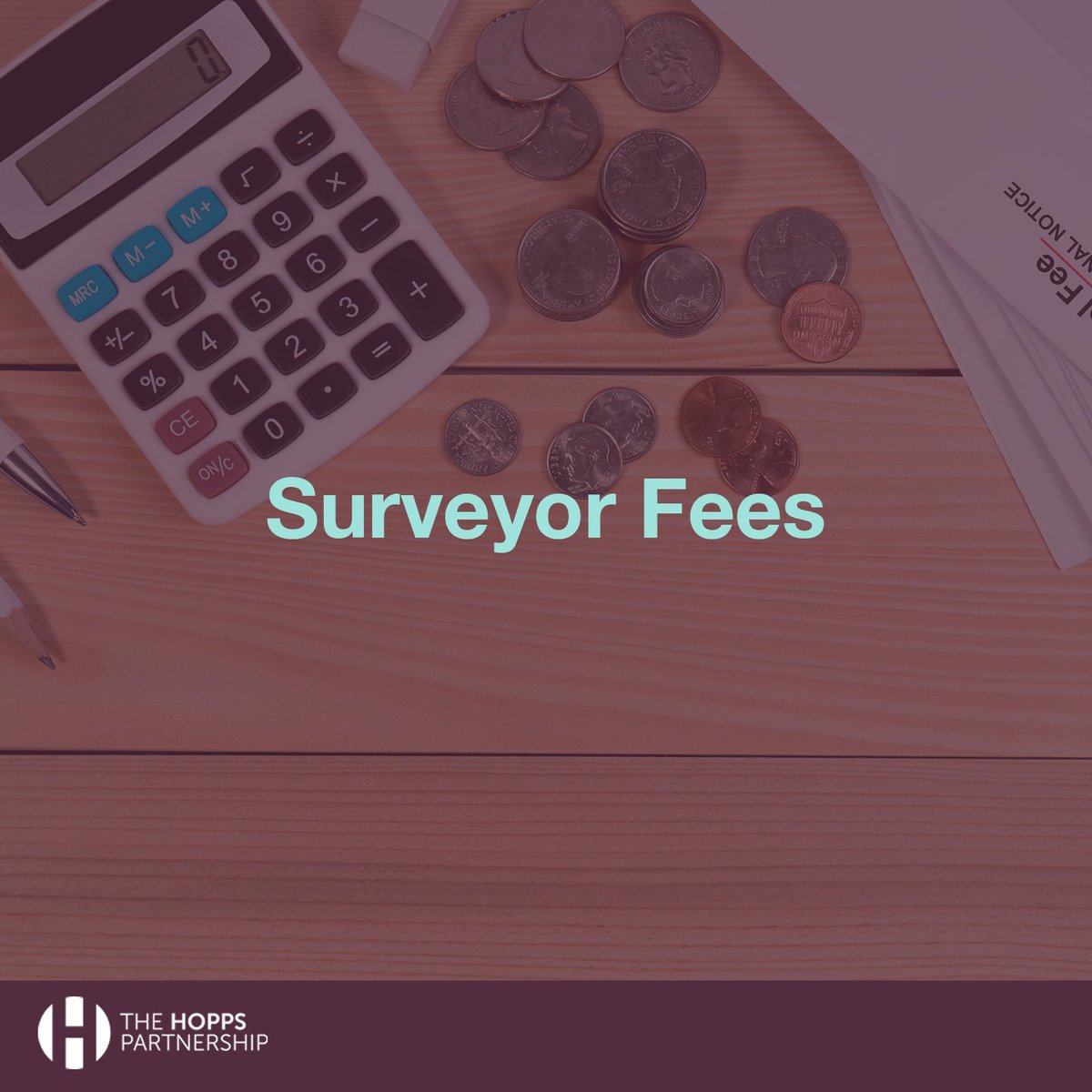 TheHoppsPartnership tweet media