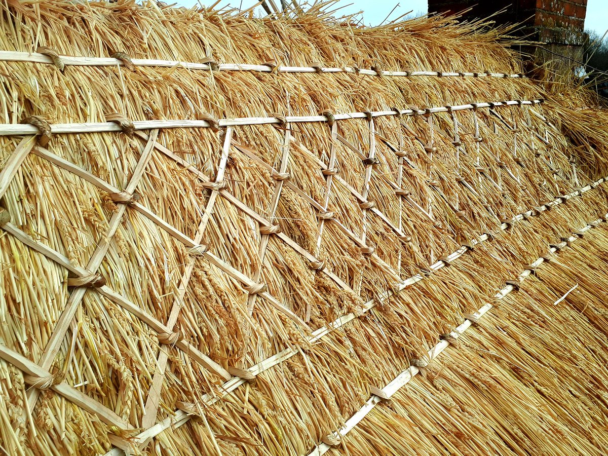 Hand-crafting a ridge, using natural materials.
The straw is from about 12 miles away. The horizontal liggers, made by <a href="/ollywatsonpoet/">olly watson</a>, come from a woods 15 miles away. The hazel pegs, or brotches, were cut and made in Hampshire by @Oak_and_Hazel.