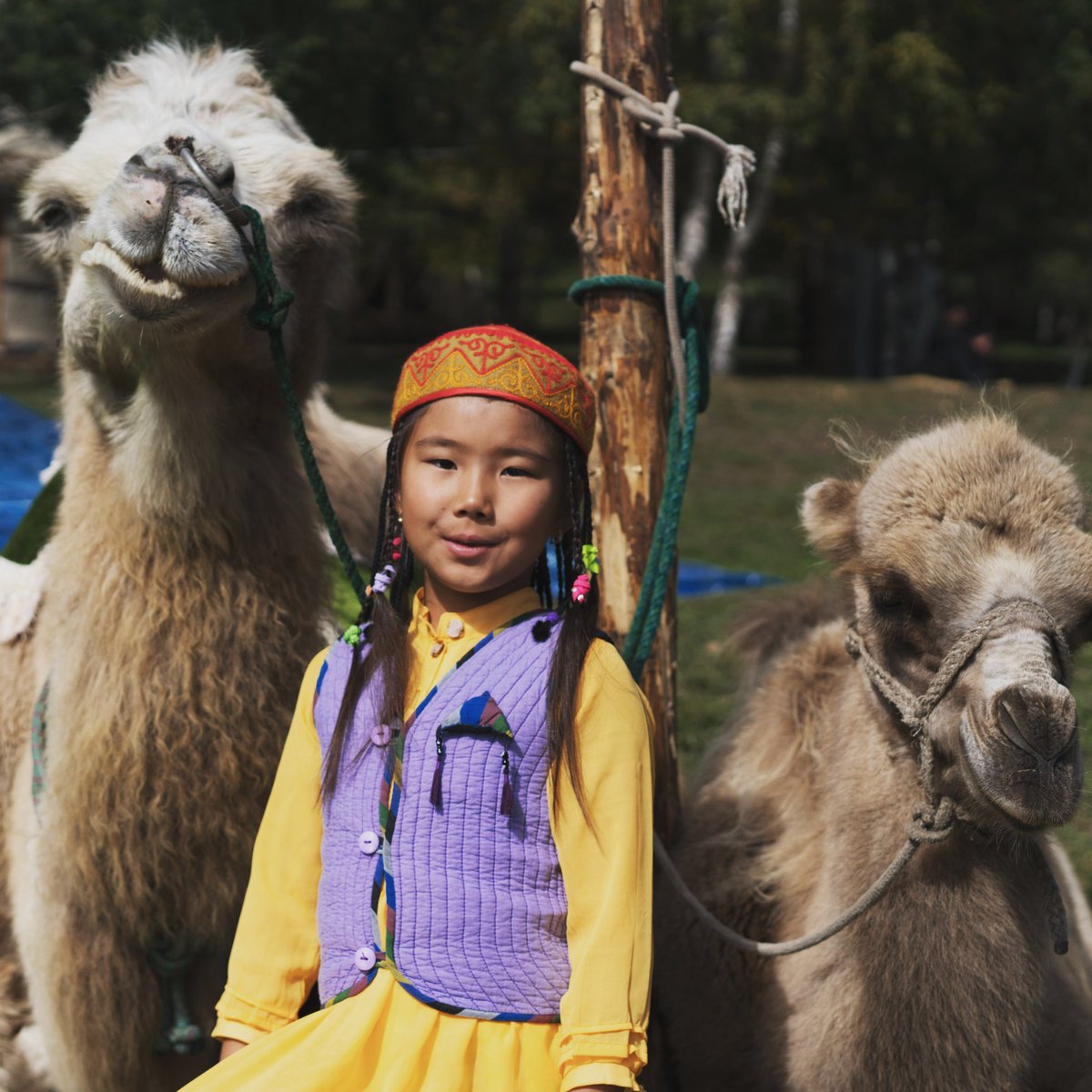 yukiemokuo's tweet photo. #HappyNawruz #SpringHappiness #ForEveryChild https://t.co/PmKgpdgkg7
