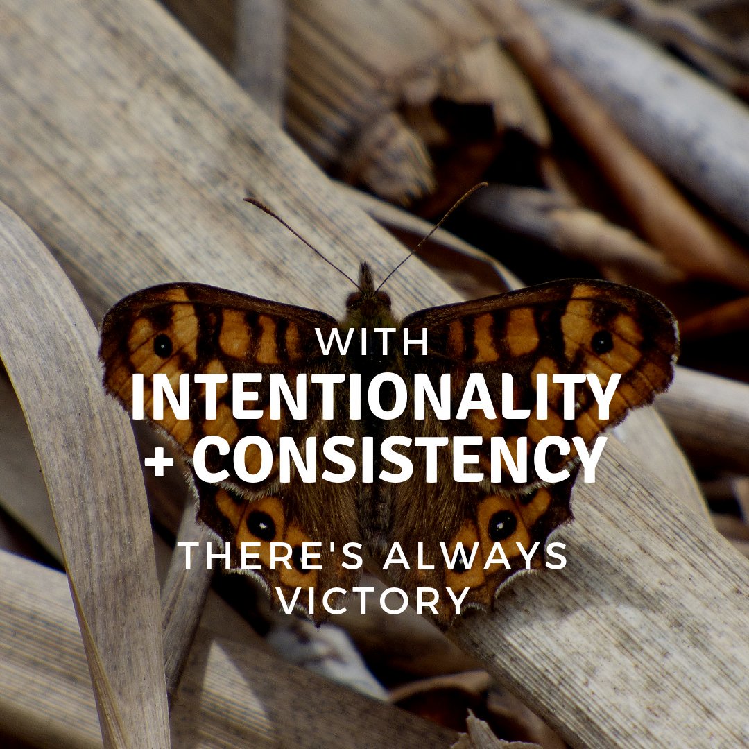 KooduDigital's tweet photo. If you need a winning formula for your business, use this one;
Intentionality + Consistency = Victory
.
. 
.
#WednesdayWisdom #WednesdayMotivation #Hustle #Entrepreneurs #DigitalPR #DigitalMarketing #Koodu https://t.co/JEaW6h8YcX