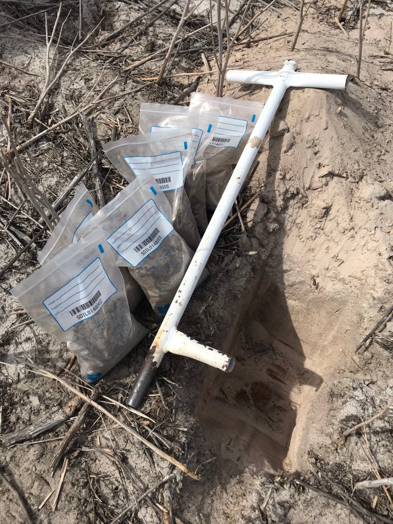 KendallFarming's tweet photo. Soil sampling is a whole lot easier with DecipherGO, easy to set up sampling job, navigate to site, scan bar code, sample.....no paperwork 👍🏻 @DecipherAgTech https://t.co/oDp5YEX74H