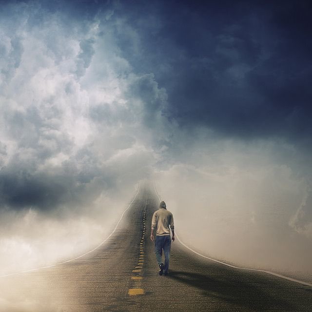 لمى ابراهيم فياض - Lama Fayyad tweet media