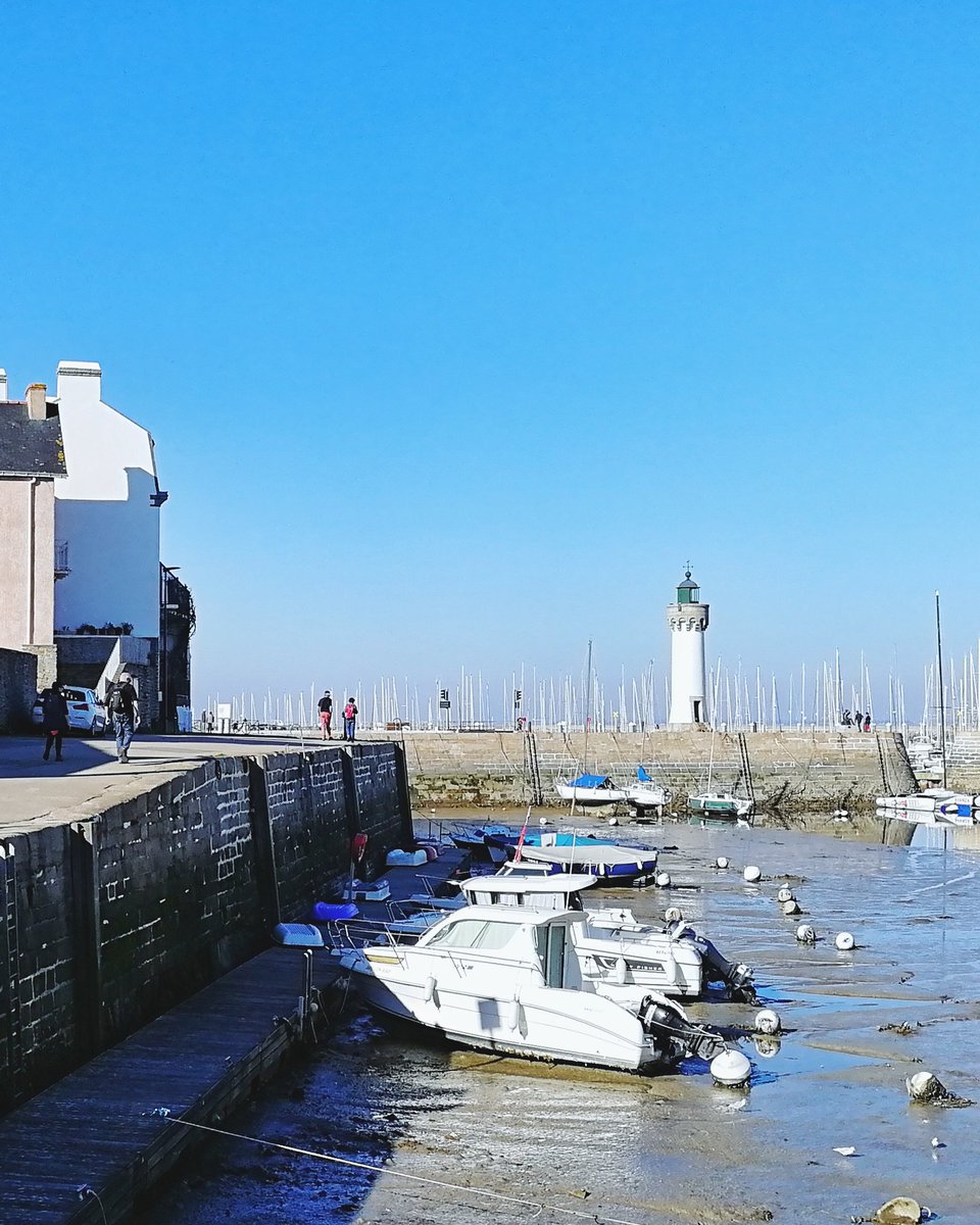 ptr4n's tweet photo. #printemps #spring #bretagne https://t.co/9jkVCyDwtT