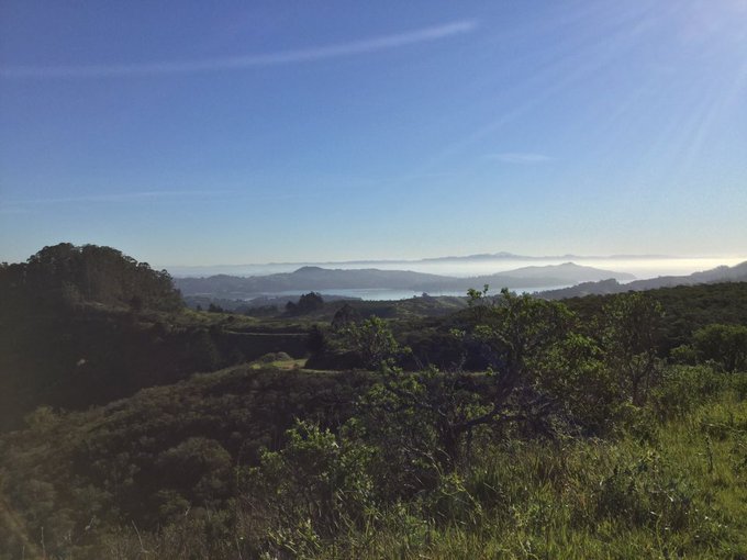 #trailtuesdaythrowback to 13.2+ miles and ~2500' last #Saturday at #SFRC. Clear blue skies, a stark contrast<a href="/tag/trailtuesdaythrowback"class="tags">#trailtuesdaythrowback</a><a href="/tag/saturday"class="tags"><span>#saturday</span></a><a href="/tag/sfrc"class="tags"><span>#sfrc</span></a>
