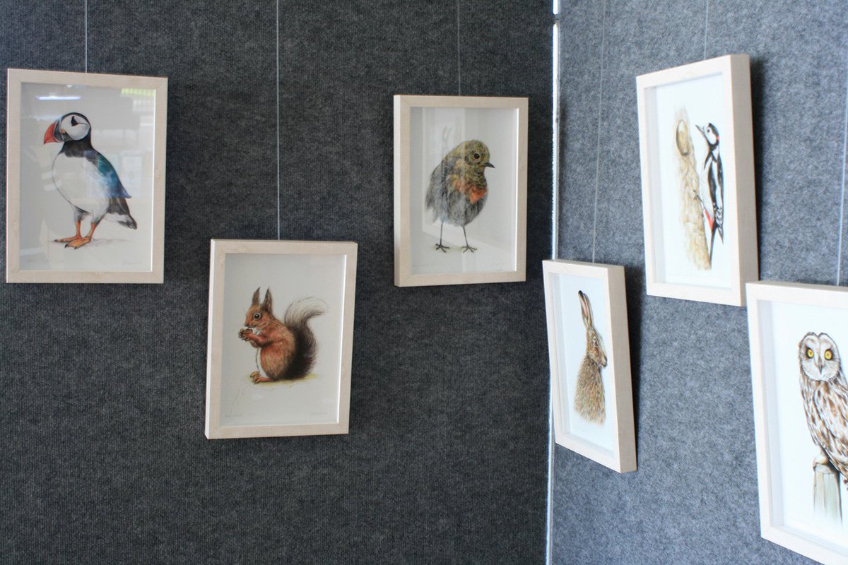 AgaGrandowicz's tweet photo. If you are in LexIcon these days, pop over to the level 3 (the library) and follow the footprints :)
#compellingcompendium #artexhibition #animalsdrawings #artwork #zoologistsdesk #mountainstoseabookfestival #mountainstosea @mountainstosea https://t.co/kBRW5KMPty