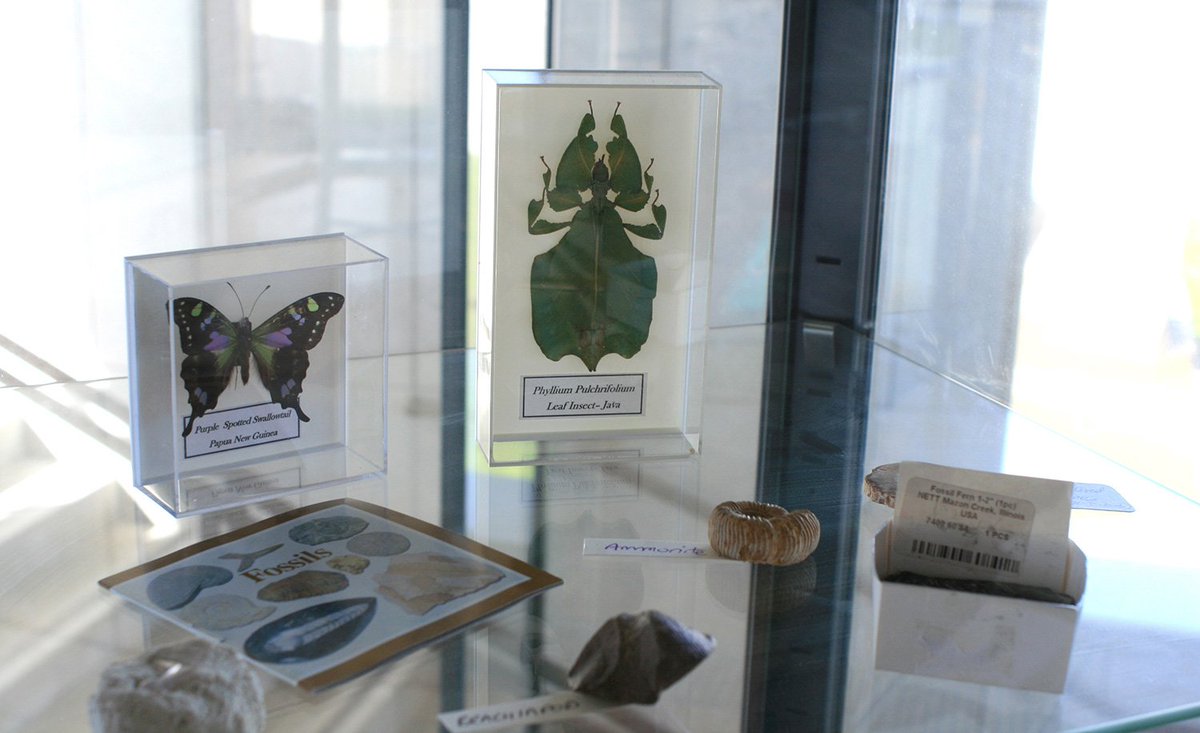 AgaGrandowicz's tweet photo. If you are in LexIcon these days, pop over to the level 3 (the library) and follow the footprints :)
#compellingcompendium #artexhibition #animalsdrawings #artwork #zoologistsdesk #mountainstoseabookfestival #mountainstosea @mountainstosea https://t.co/kBRW5KMPty