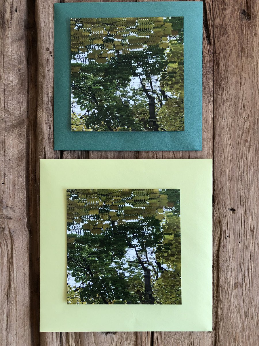 Pre orders for this one starts today @ shimmeringmoodsrecords.bandcamp.com <a href="/gowdy_t/">T. Gowdy</a>