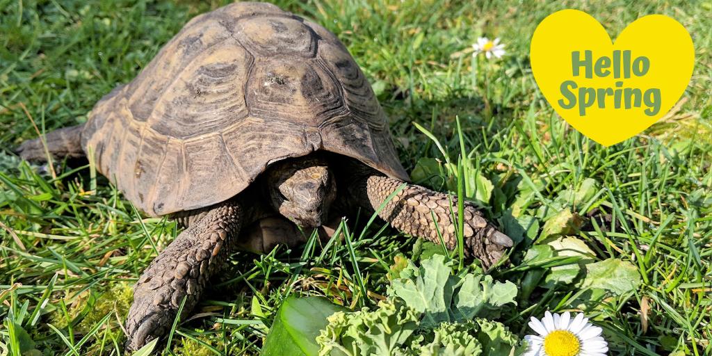 framebow's tweet photo. And so spring begins #FirstDayOfSpring https://t.co/VkBGrFF26d