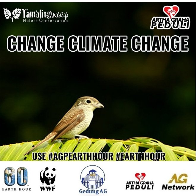 vanessa_v2h's tweet photo. #agpearthHour
#connect2earth
#earthhour2019
#earthhour
#agpeduli 
#changeclimatechange https://t.co/9ZnHkfa59k