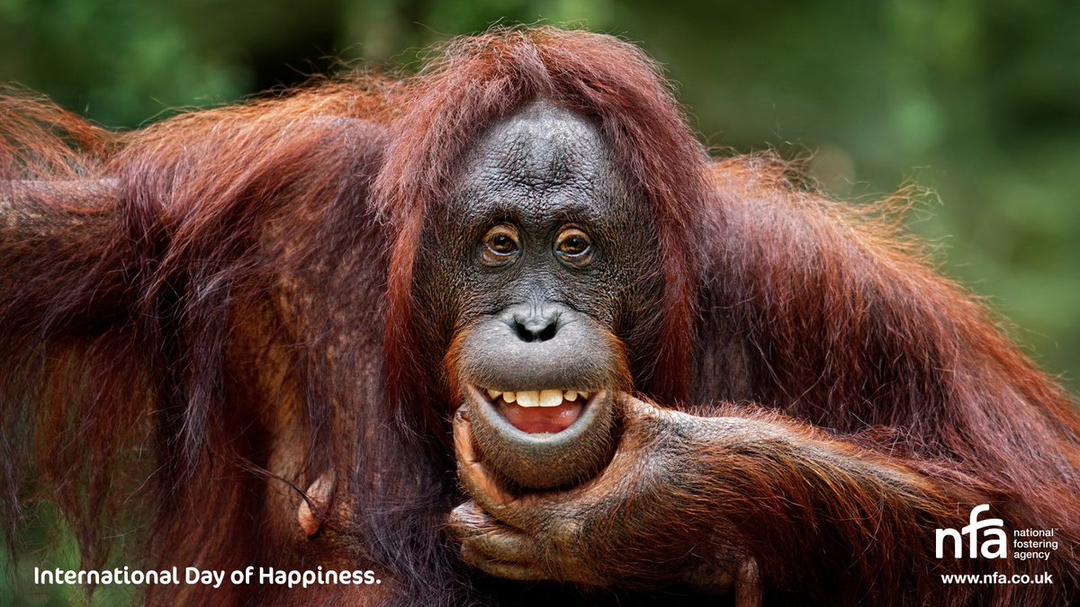 Outcomes First tweet media