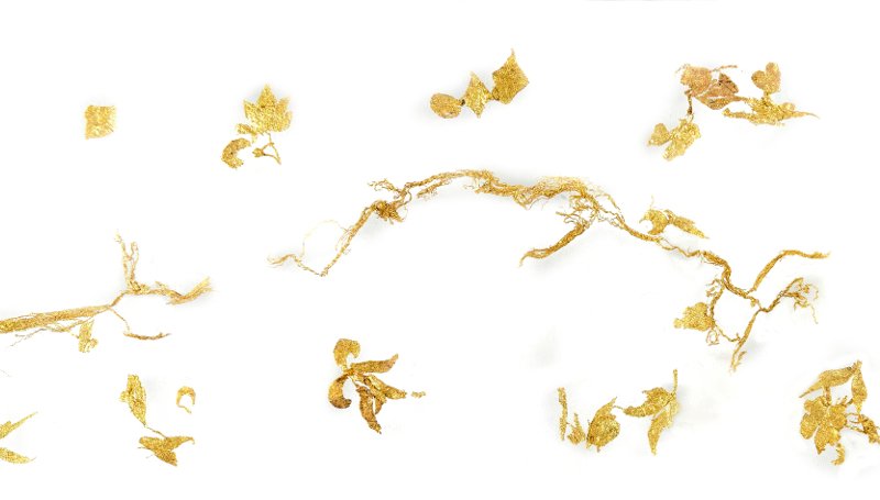 IAPHpatrimonio's tweet photo. Diadema de oro perteneciente al ajuar funerario hallado en la calle Escalzo de Cádiz, en 1997 @MuseoCadiz @CulturaAND https://t.co/PMMWaur7SO

El trabajo de #restauración ha sido complejo por la fragilidad del conjunto que está formado por hilos trenzados de pocas micras. https://t.co/6pL0wEJ9QS