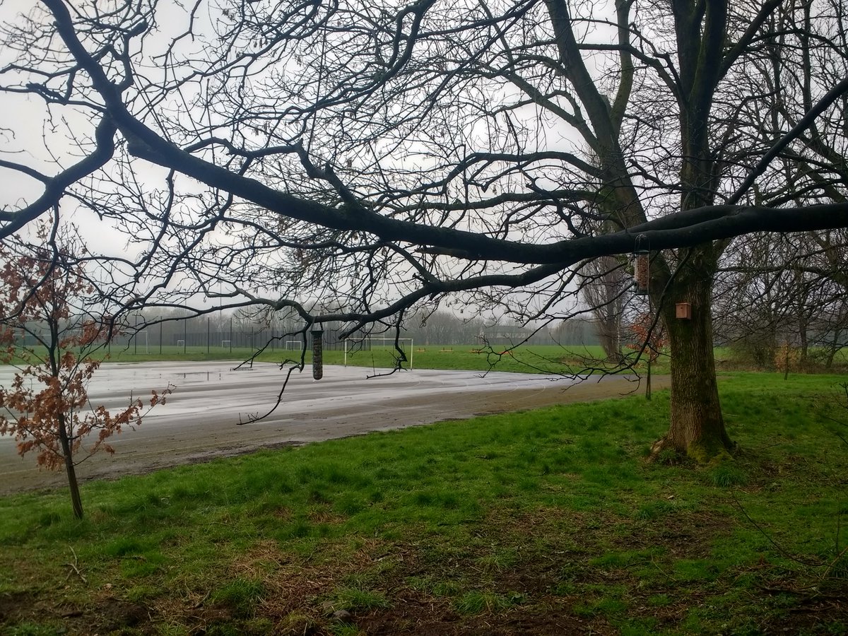 Rick Simpson 🧪🦠🔭 (@mrsimpsonsci) on Twitter photo Wildlife patch <a href="/CoopManchester/">Co-op Academy Manchester</a> Fat balls made by students are up for the birds. Please visit our website for more info cam.coop/birdsandthebees #birdsandthebees Wildlife patch <a href="/CoopManchester/">Co-op Academy Manchester</a> Fat balls made by students are up for the birds. Please visit our website for more info cam.coop/birdsandthebees #birdsandthebees