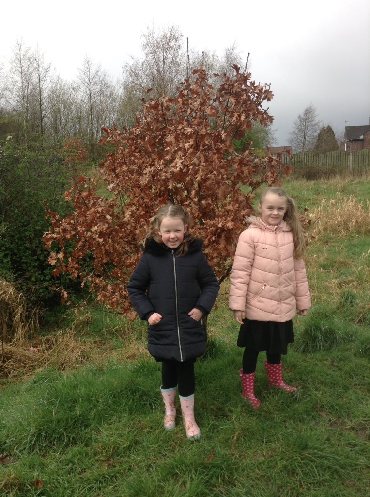 LindenRDoak's tweet photo. @LindenRDoak #signsofnature #tamevalley
Enjoying our winter walk. https://t.co/kj2d9E7dKt
