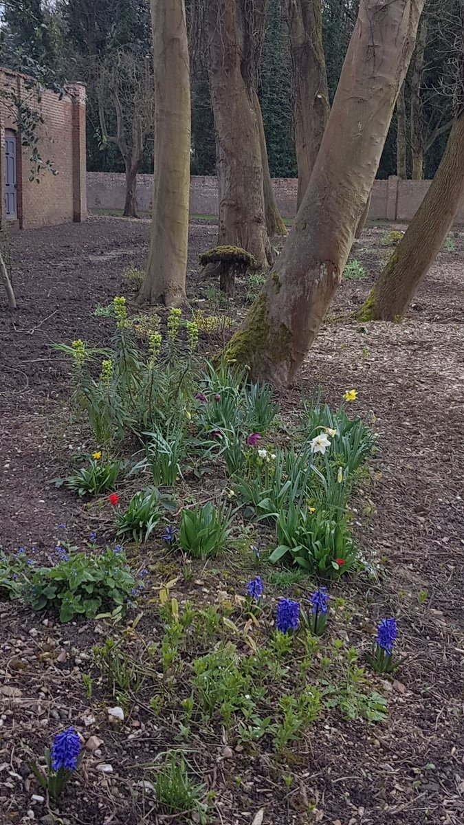 BaumberGarden's tweet photo. Happy Spring Time everyone!! from the WGB team 😎 #spring #daffodils #sunshine #Flowers #Lincolnshire #lincolnshirewolds https://t.co/24RdBzmpcs