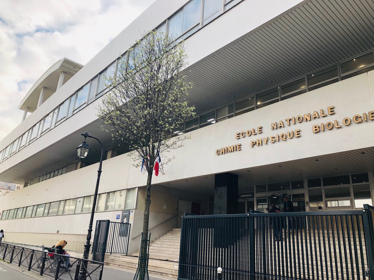 emiliebarreau's tweet photo. Les arbres sont en fleurs devant le lycée PG de Gennes ! Rdv aux Numeryades #lyceesIDF #numeryades #manuelsnumeriques @EdulibFR @Magnard_Edu @BelinEducation https://t.co/OLN868z0aA