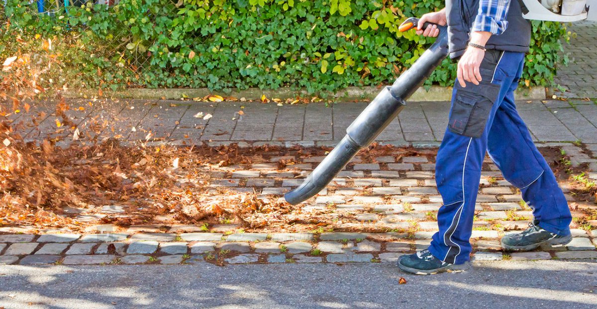 уборка осенних листьев. дворник метет листву. уборка листьев в саду. убирать ли листву с газона. уборка листьев.