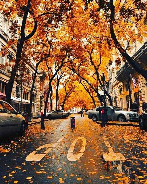 Travelgram36's tweet photo. Yellow street •
•
•
•
•
#travelling #traveler #tourism #travelingram #igtravel #europe #traveller #travelblog #tourist #travelblogger #traveltheworld #roadtrip #instatraveling #instapassport #instago #여행 #outdoors #ocean #mytravelgram #traveladdict https://t.co/kBndwd9jRJ