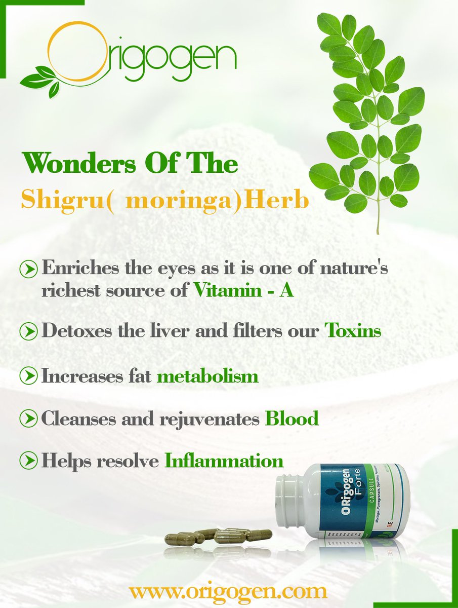 Enriches your eye sight with the wonder herb- SHIGRU (Moringa)
#Anti_ulcer ,#Anti_diabetic #Anti_fungal #Anti_tumor #Anti_inflammatory #cholesterol #heartdisease #stroke.
origogen.com
For trade Enquiries or Franchise
Pls contact +91-9711443118