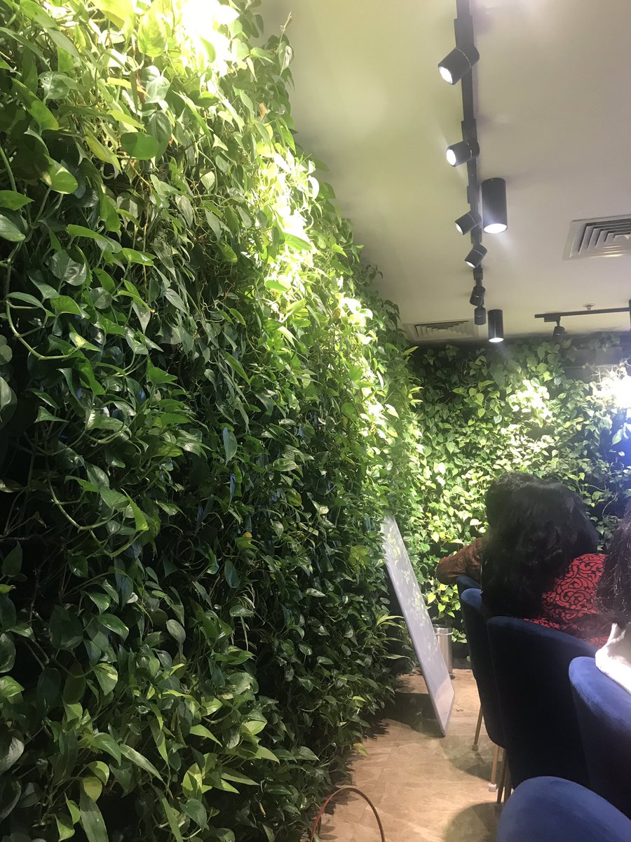 driftingdunes's tweet photo. @MahindraRise @clubmahindra I thank the trees and plants 🌴for making my work space so lively and rejuvenating 🌳🌲🌴❣️#Thankthetree #Riseagainstclimatechange #BKC @WeWork https://t.co/HiaHqCtWsC