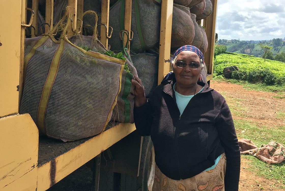 More than 4 million people earn their living from #tea farming and processing in #Kenya. AFD, through its <a href="/sunref_afd/">SUNREF</a> programme, and <a href="/Proparco/">Proparco</a> are encouraging the transition towards more sustainable and profitable production methods. More here ▶bit.ly/2Y8rwP7