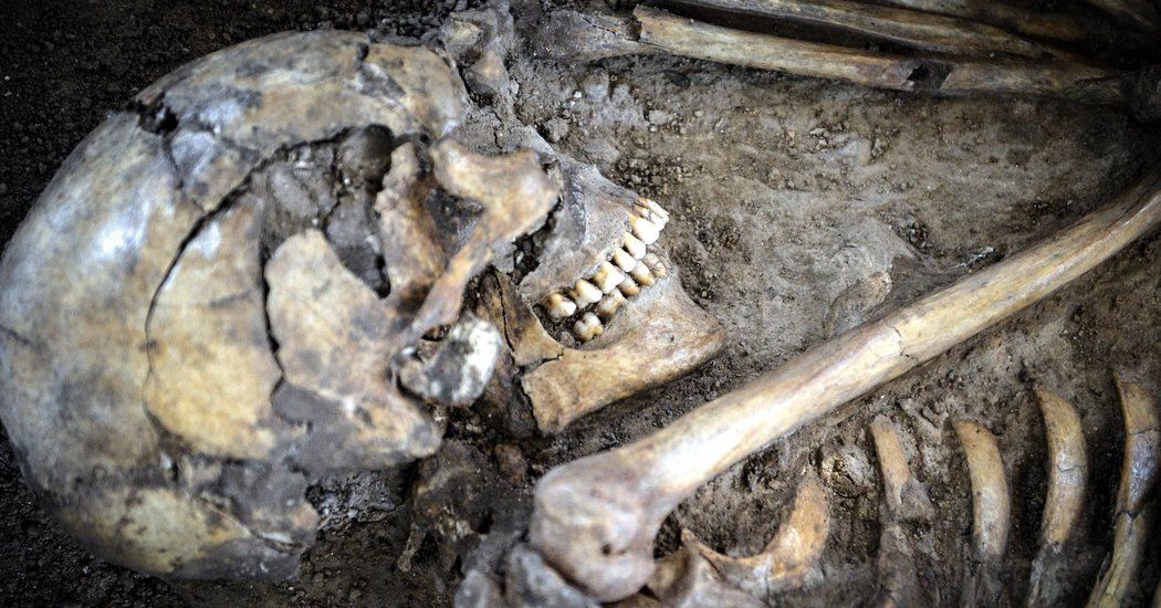 NYTimes: Did Dietary Changes Bring Us ‘F’ Words? Did agriculture foster the arrival of new sounds in human #language? New study published in #Science. buff.ly/2Fhm84J #linguistics