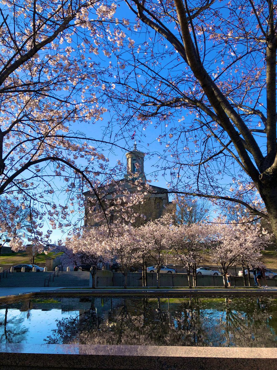 Your TN State Capitol is beautiful on the first day of Spring.  Come enjoy it.