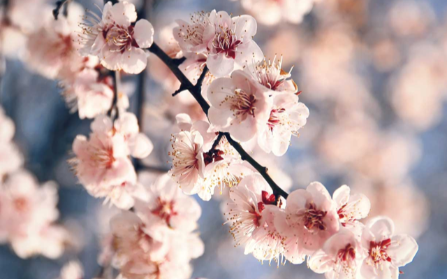 Long Island Temps tweet media