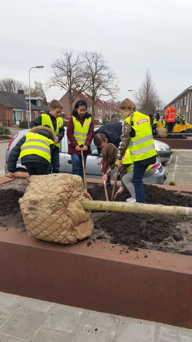 Deze ochtend met leerlingen van CBS De Koning en Wethouder <a href="/JurgenvanHoudt/">Jurgen van Houdt</a> in het kader van boomplantdag 5 kastanjes geplant op winkelcentrum Stadsveld @jijmaaktdebuurt @DeZuidWester